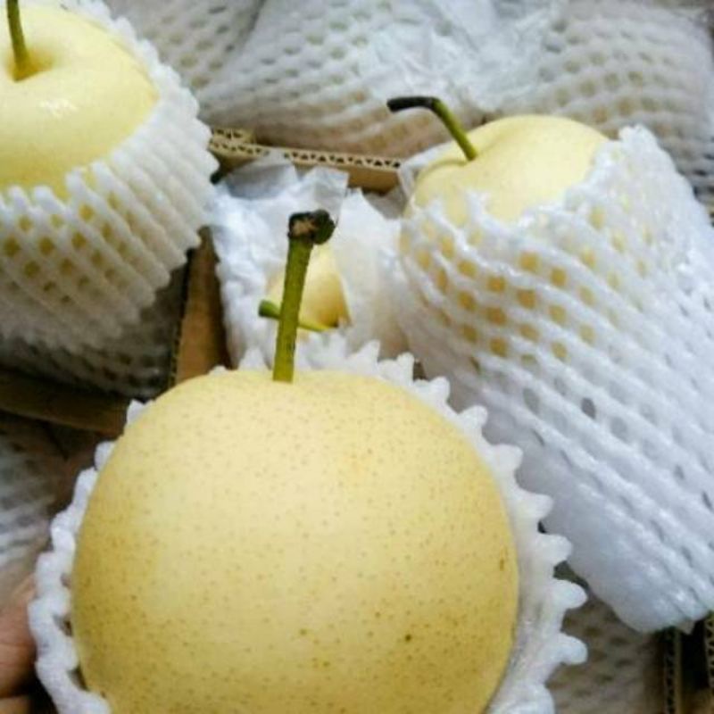 

buah pir madu 500 gram pear fresh