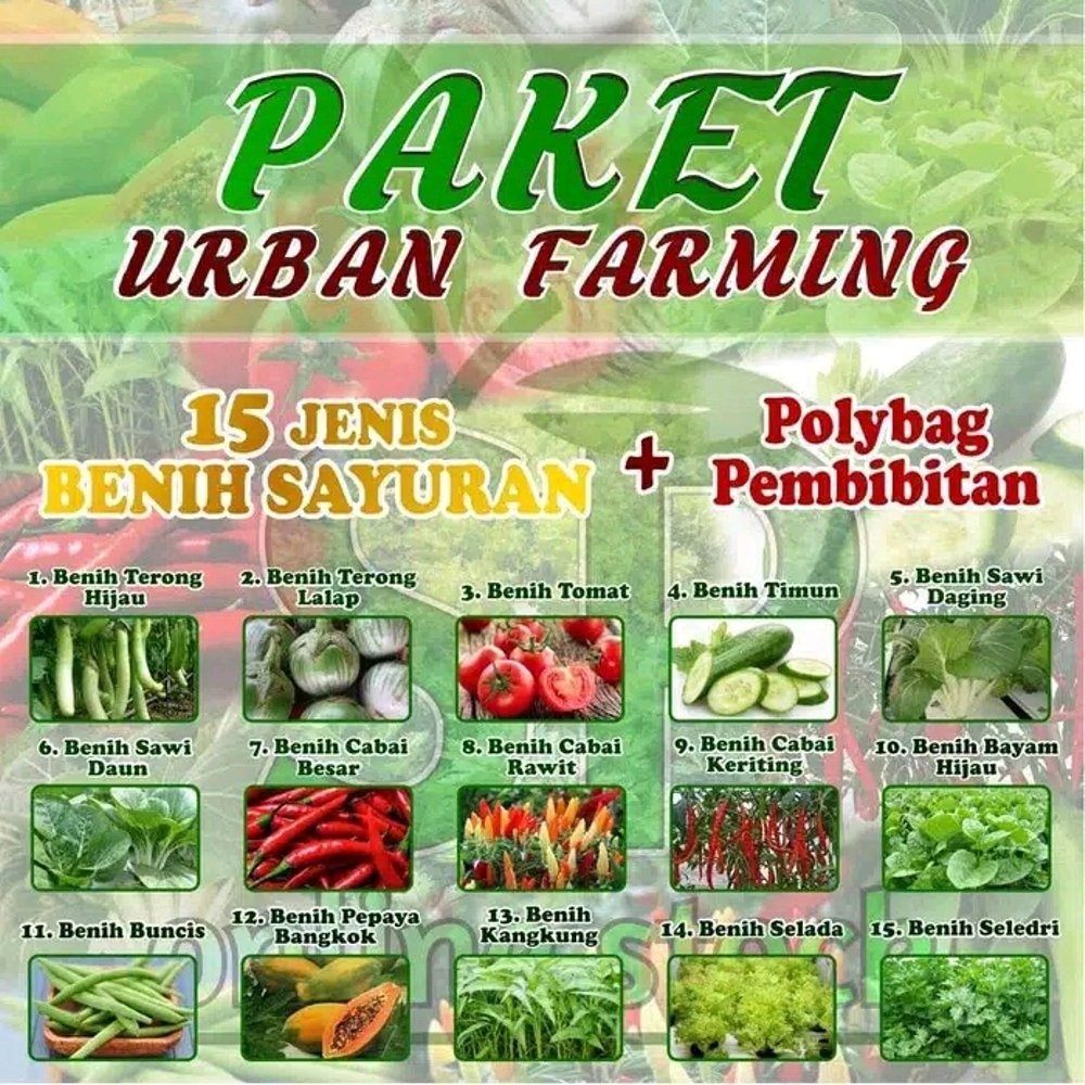 Jual Paket Benih Sayuran Eceran Jenis Bonus Polybag Pembibitan Shopee Indonesia