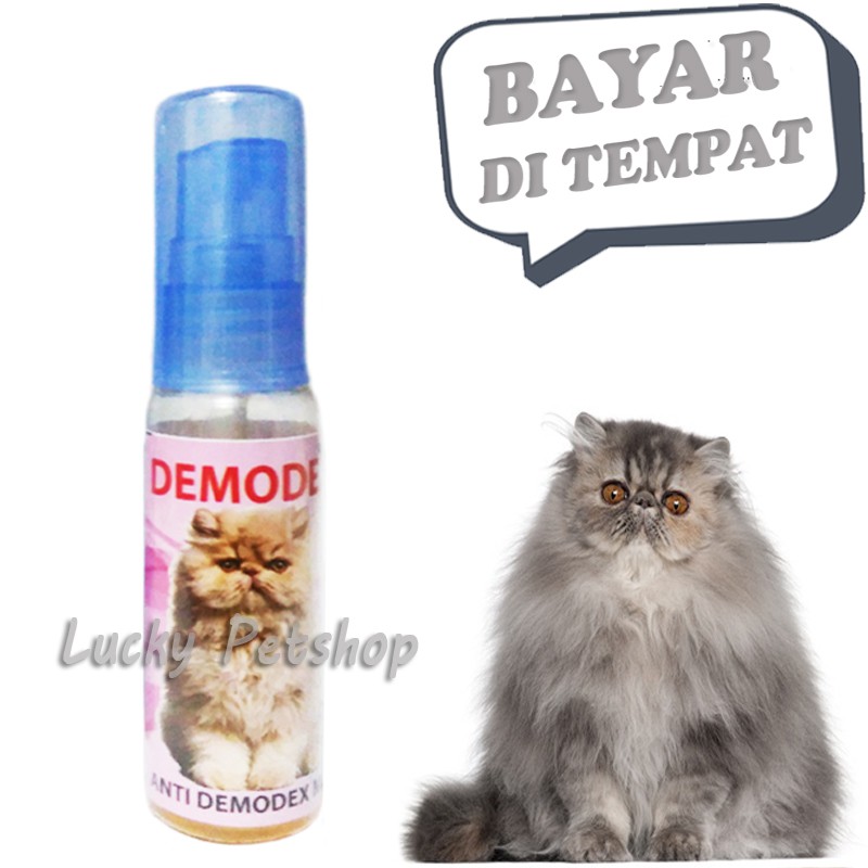 OBAT LUKA KUCING BULU RONTOK BOTAK KORENG JAMUR - DEMODEX