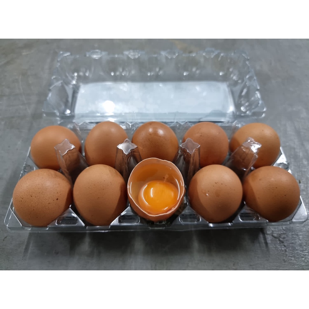 Telur Ayam Negeri Fresh 10 Butir/Pack Mika