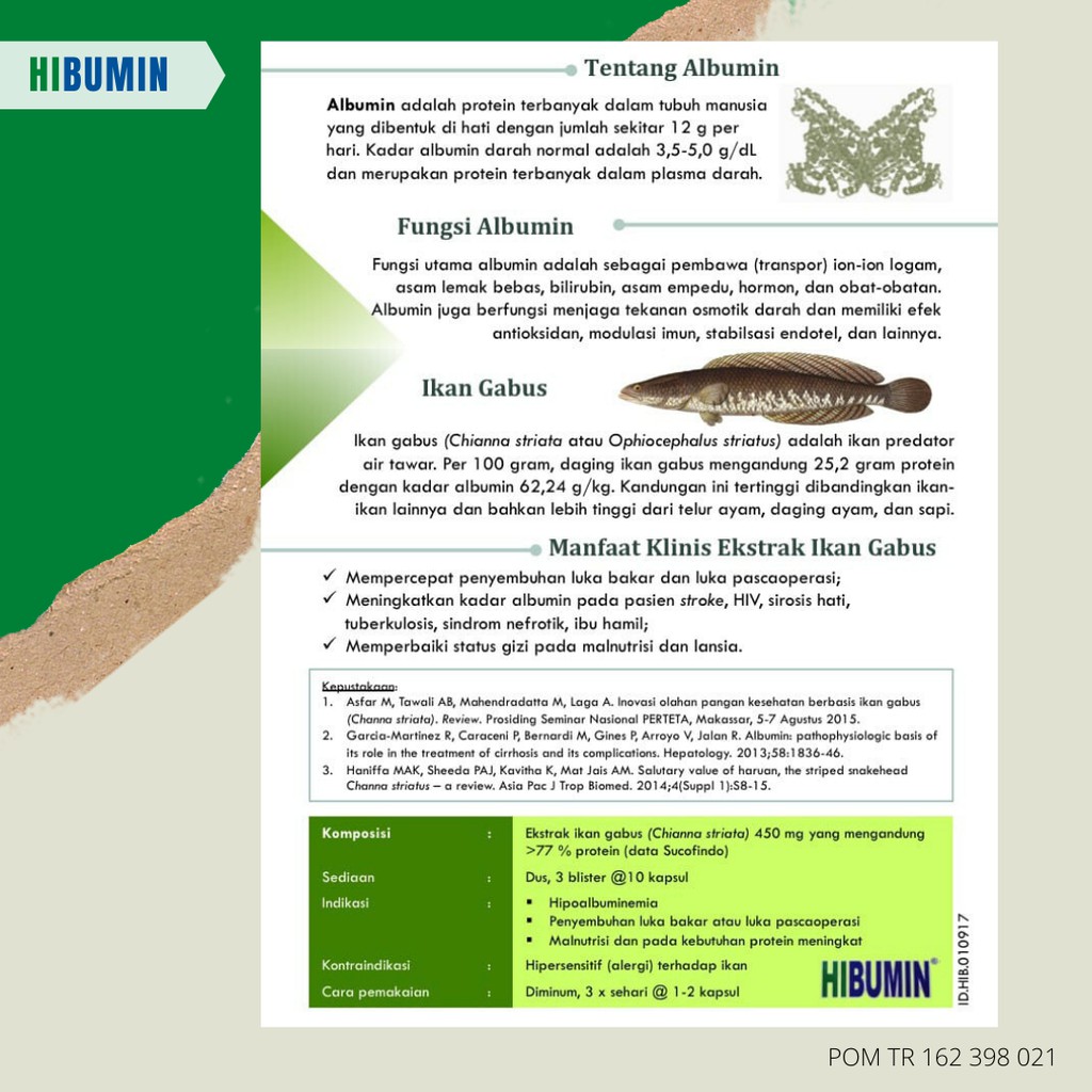 Hibumin Suplemen Albumin Dari Ekstrak Ikan Gabus Indonesia