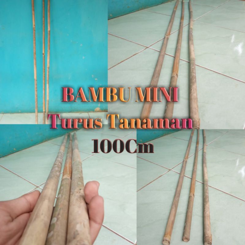 Turus Tiang Penyangga Tanaman Turus Ajir Penyangga Tanaman Turus Bambu