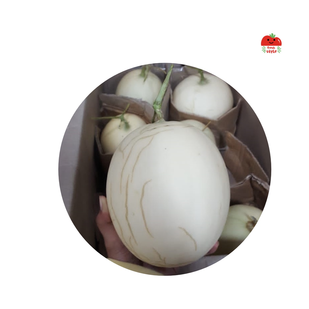 

Melon Baby Sweet Ice