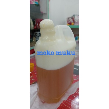 

madu asli/madu murni/madu asli kapuas hulu/madu asli kalimantan