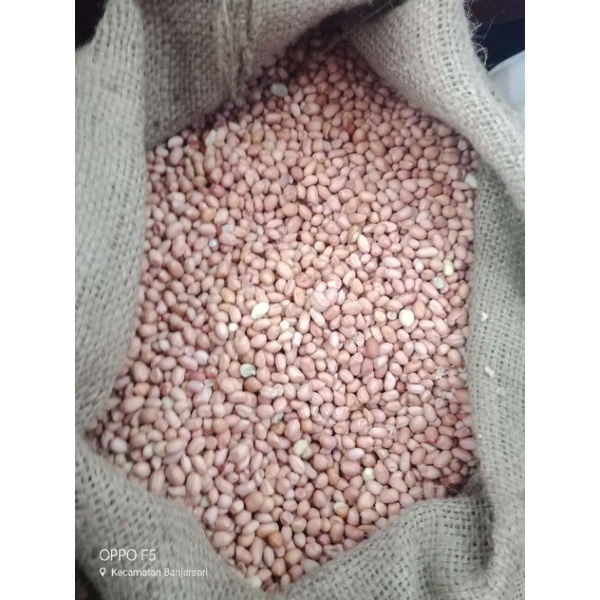 

Kacang Tanah kupas 1 kg