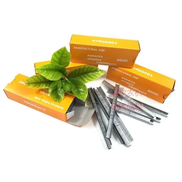 

STAPLES TAPE TOOL - ISI ULANG STAPLES TAPE TOOL