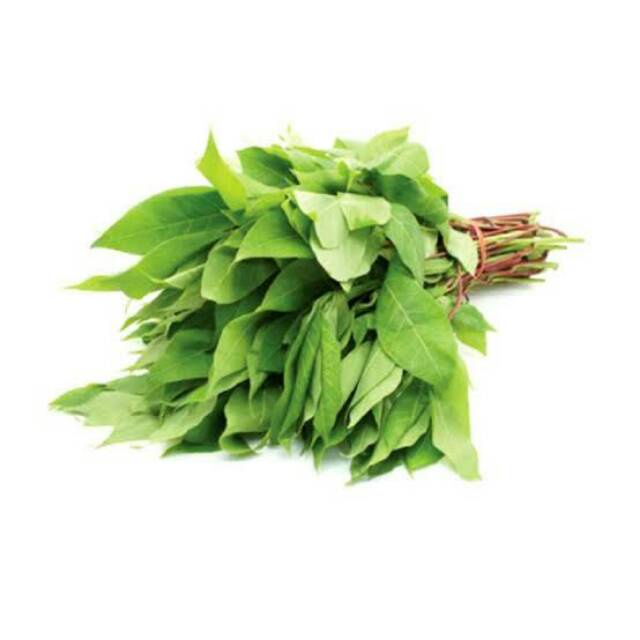 

Daun Singkong Sayur Singkong Daun Singkong 1 Ikat