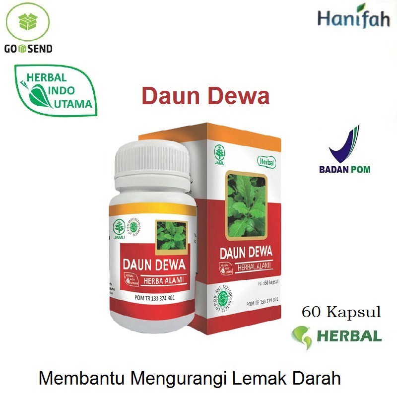 

HIU Daun Dewa Herbal mengatasi Lever dan Kencing manis