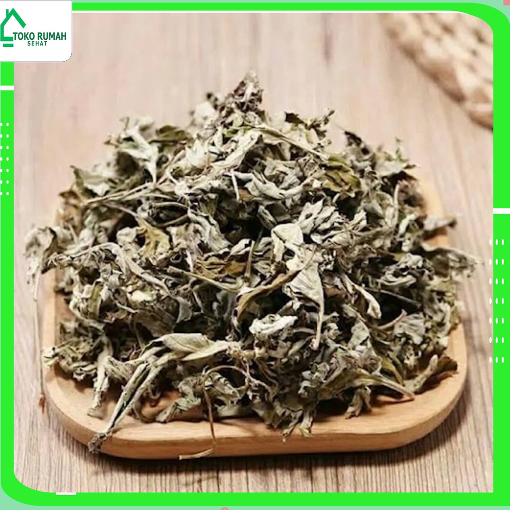 

DAUN BARU CINA KERING 100 GRAM - Artemisia Vulgaris - MURNI - JS