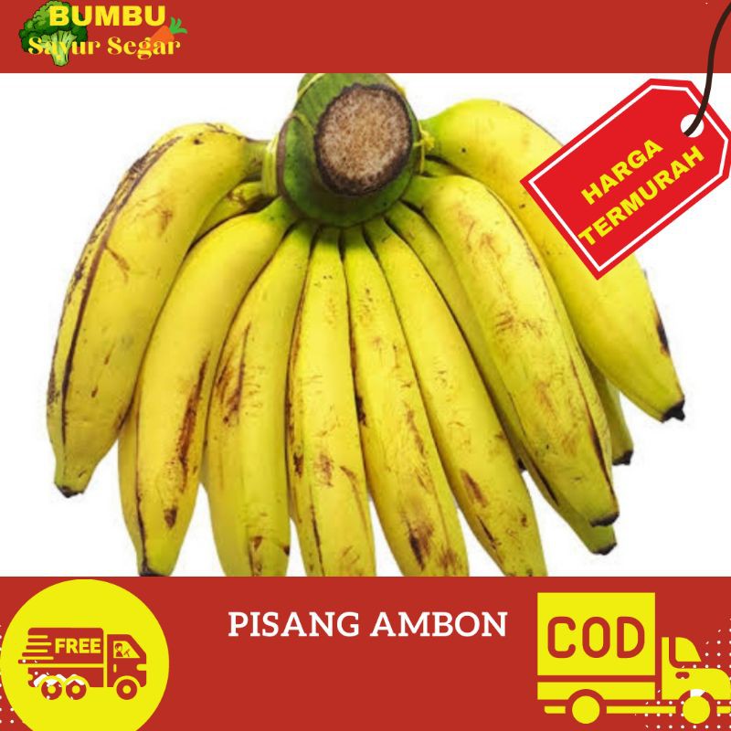 

pisang ambon ( 1 sisir )