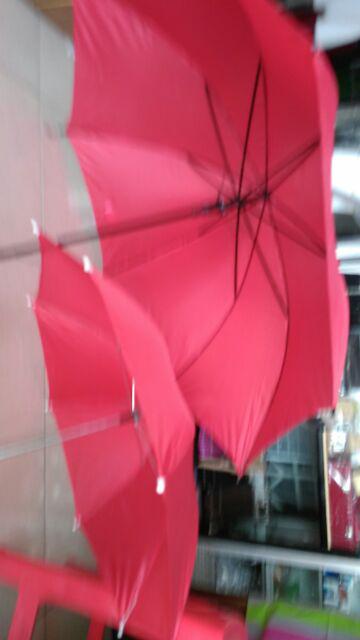 Payung Standar Dewasa Souvenir Warna Warni Grosir Murah Payung Warna Polos Perlengkapan Rumah Tangga