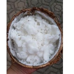

[TERMURAH] Kelapa Kopyor Super Jumbo XXL Fresh - Puan coconut