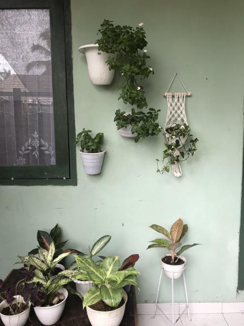 Macrame Gantungan Pot Tali Katun Kode: Ganpot-cr-008