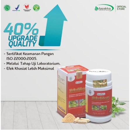 Obat Herbal KAPSUL KELADIKAPS Tazakka  - Ekstrak Keladi Tikus Keladikap Obat Herbal Kanker Ganas Kangker &amp; Tumor