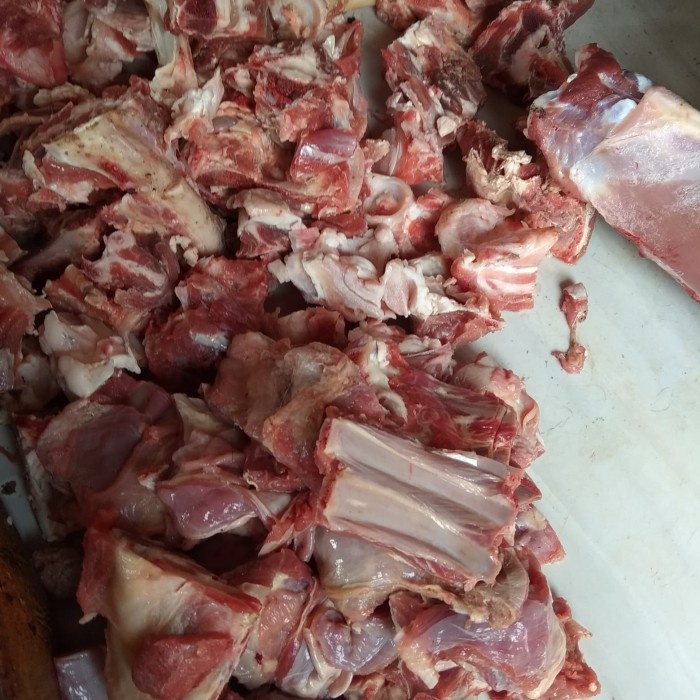 

(BISA COD) Tulang Campur