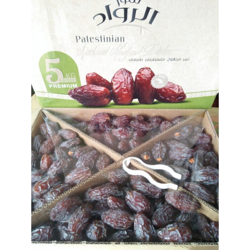 

Kurma Medjol / Kurma Jumbo