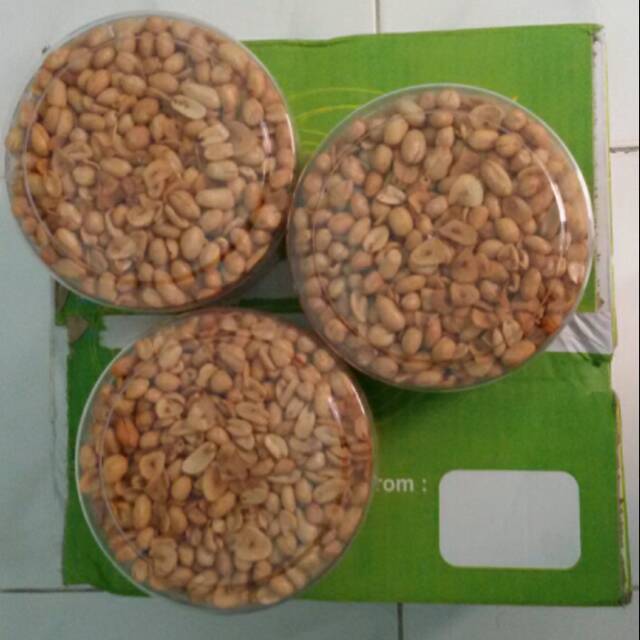 

KACANG BAWANG