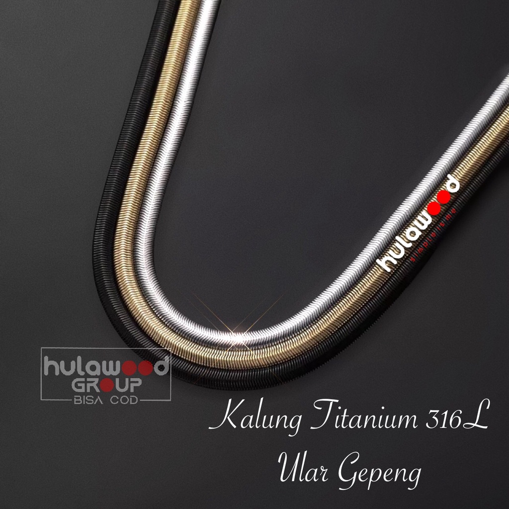 Kalung Rantai Titanium 316L Premium Stainless Anti Karat Pria Wanita ULAR GEPENG - Kalung Rantai pendant