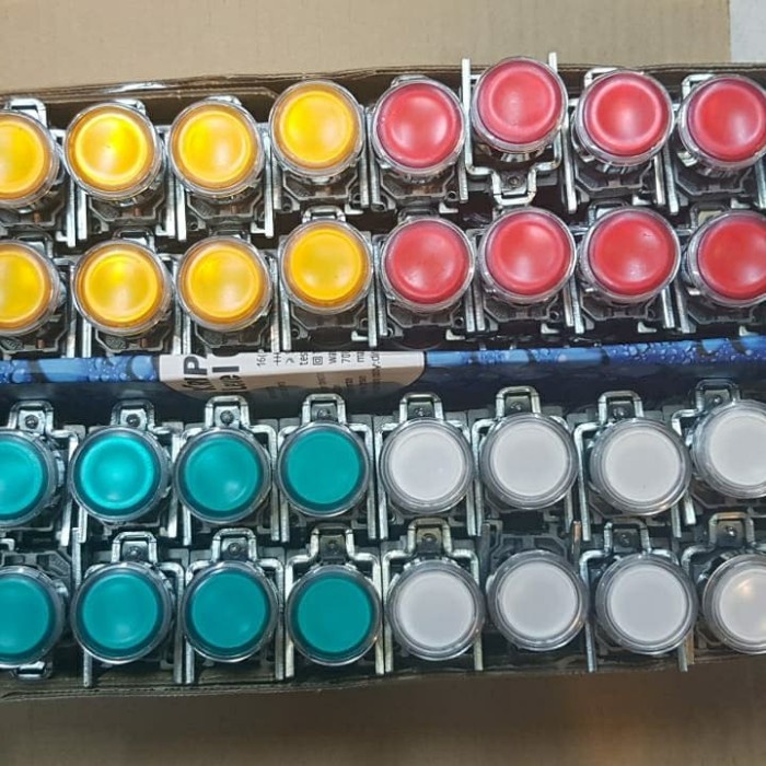 PUSH BUTTON LAMP SCHNEIDER XB5 230VAC