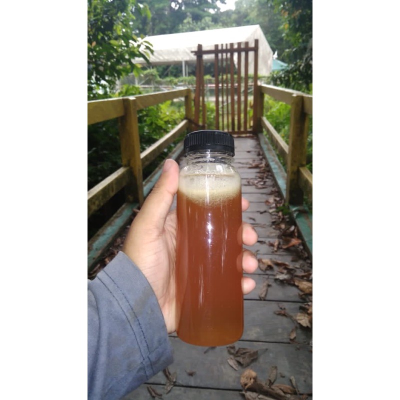 

Madu Murni Hutan Kalimantan