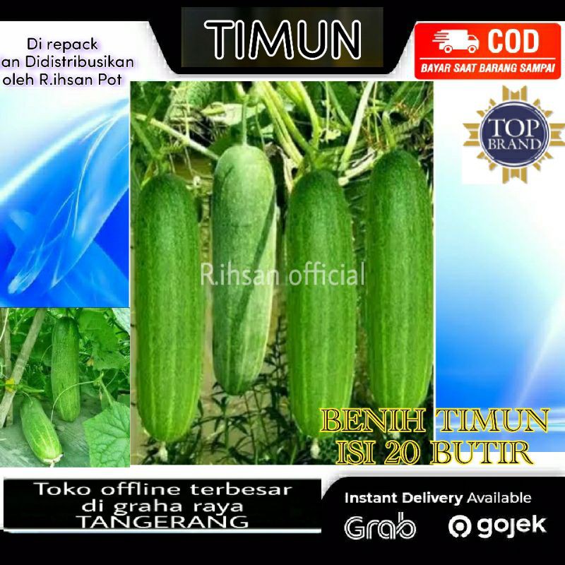 Benih Timun Unggul Mudah Disemai / TIMUN LALAP