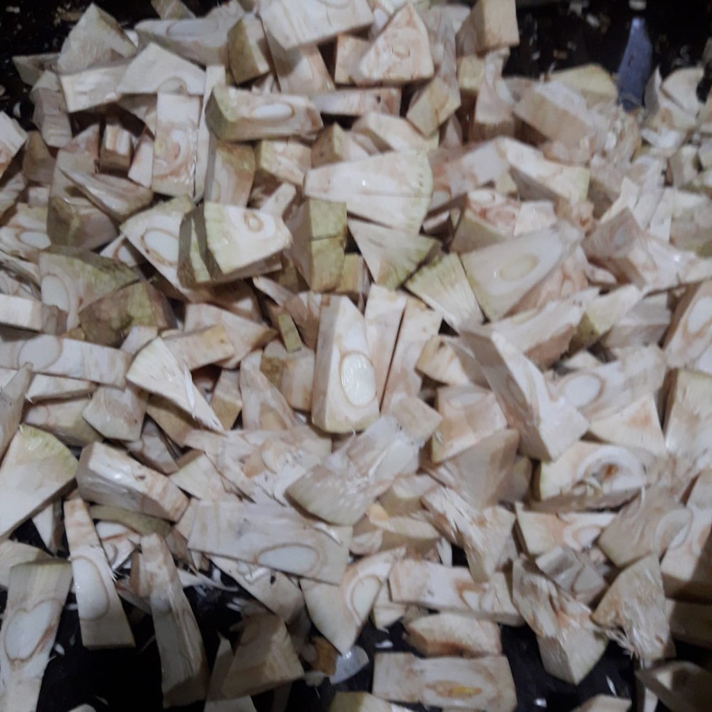 

Nangka Muda Kiloan