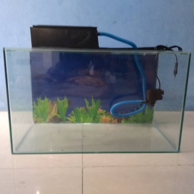 Aquarium 60cm X 30cm X 35cm Dan Mesin Filter Serta Box Besar Atas