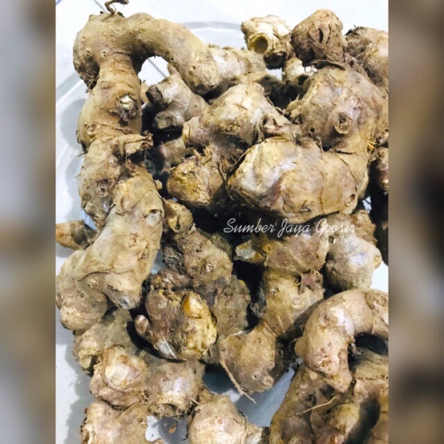 

JAHE MERAH REMPAH BUMBU MASAK