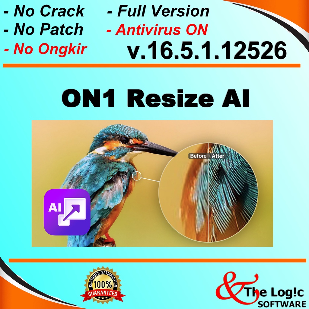 ON1 Resize AI Pro Full Version
