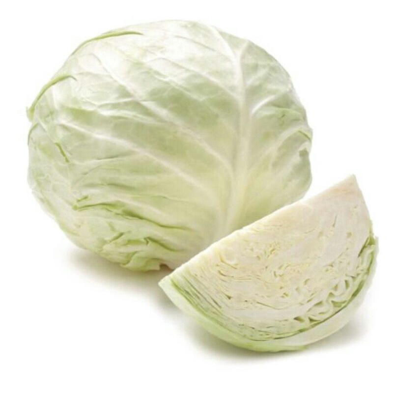 

Kol Kubis Sayur Segar 250g