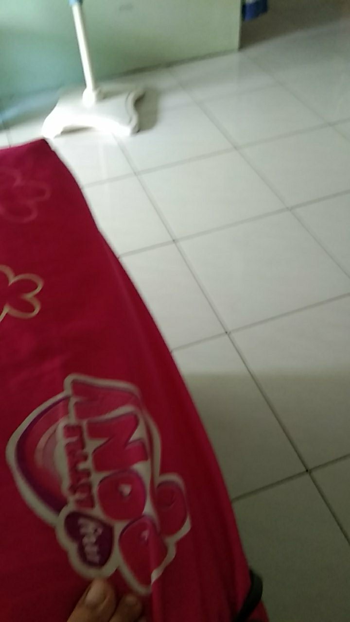 Polytex Sabut Spon Regular