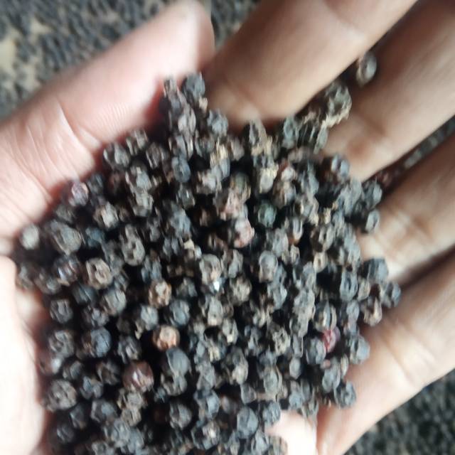 

100 gram Lada hitam kering utuh
