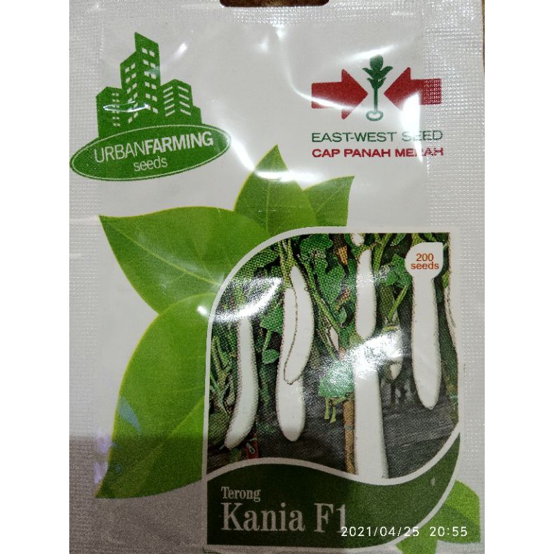 benih Terong putih Kania Cap Panah Merah East-West isi 200 biji