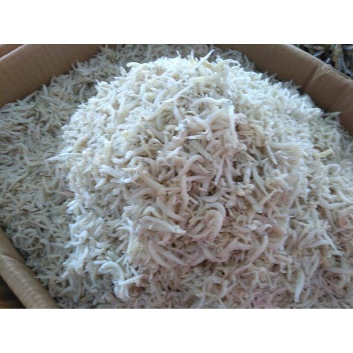 Grosir 100 gram Ikan Asin Teri Medan Teri Nasi Segar Murah