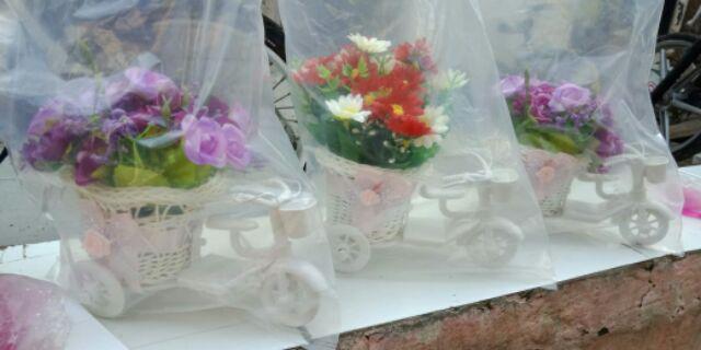 Ariani1318 Set Bunga Plastik Semanggi Dengan Pot Plastik Putih Bulat