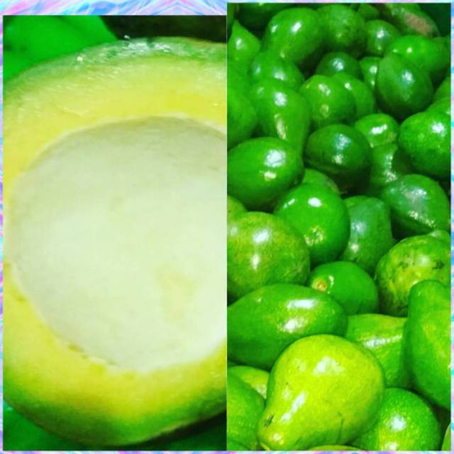 

Apukat mentega stok ready..mentah.....1kg 3/5