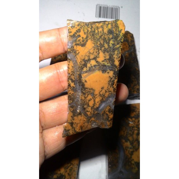 Jasper Dendritic Agate / Agate Kristal NTT Rough Termurah