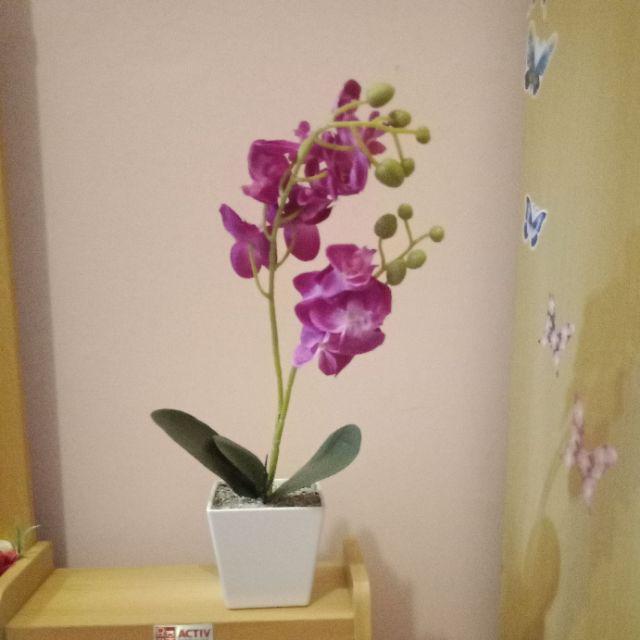 Set Bunga Plastik Anggrek1 Warna Warni Dengan Pot Melamin Putih Hexagonal Besar