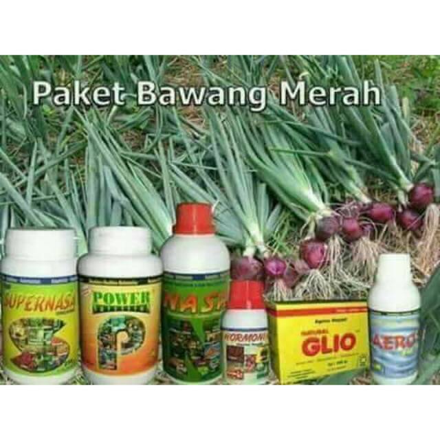 

PAKET BAWANG MERAH