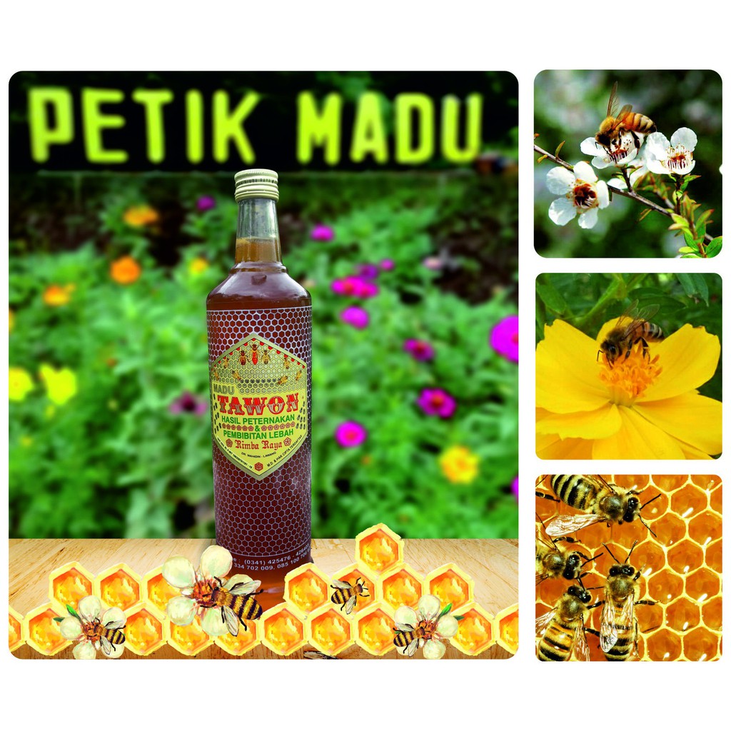 

Madu Asli Murni Original Nektar Multi Flora 600 ml Lebah Lokal