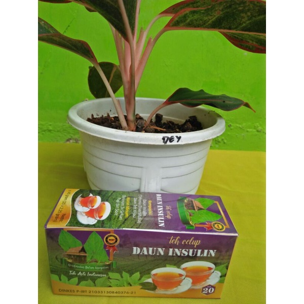 

Teh Celup Daun Insulin Premium