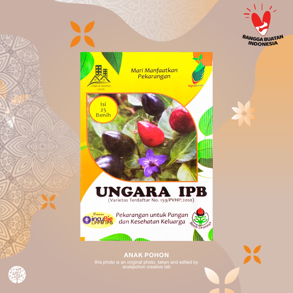 (1 PACK) Benih Cabai Hias IPB Ungara Cabe Merah Hitam - IPB Retail Pack - 25 SEEDS