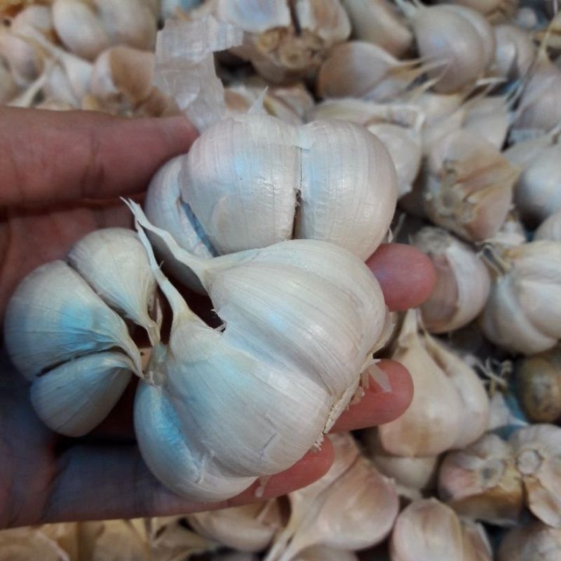 

Bawang Putih Kating Bersih 1 Kg