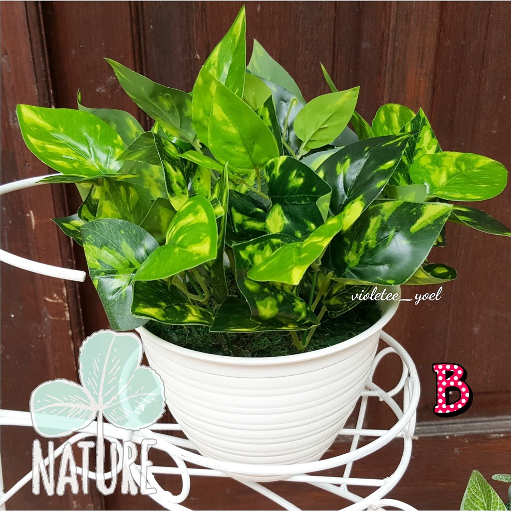 Pot Tawon dan Daun Artificial jilid 2