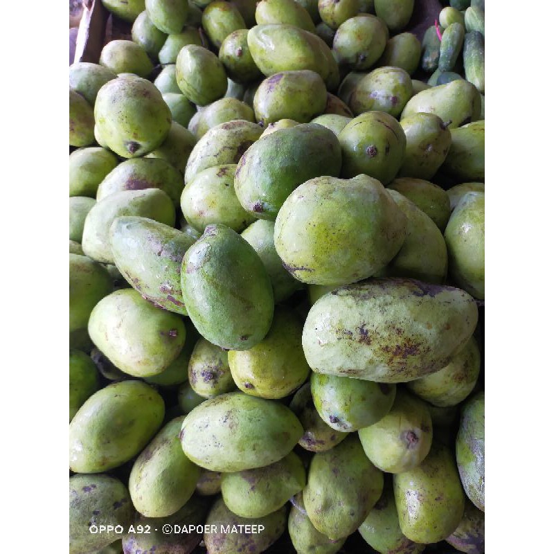 

MANGGA MUDA 1kg DAPOER MATEEP