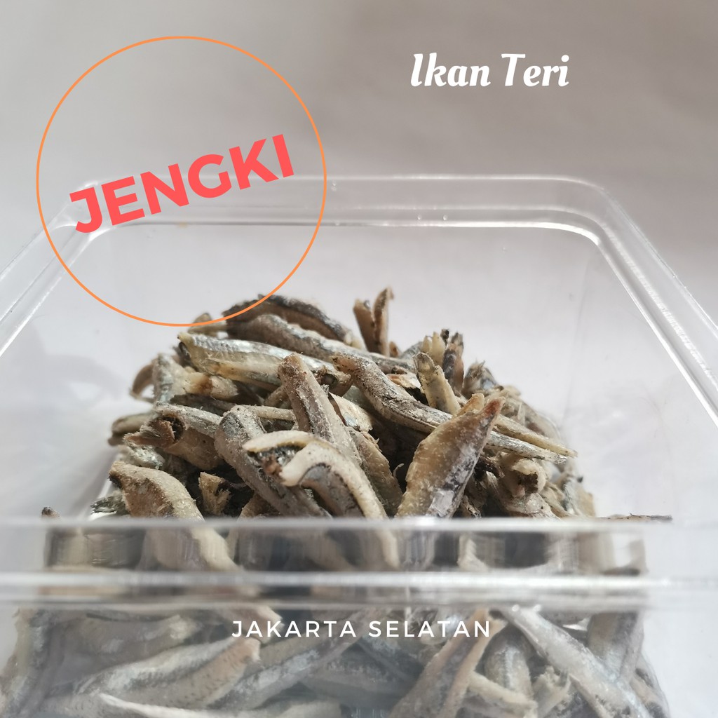 

ikan teri bulat jengki