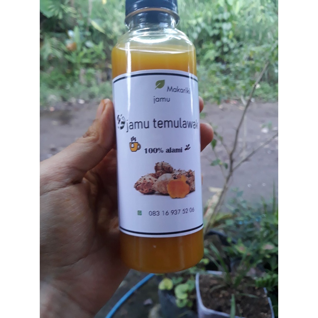 

temulawak minuman jamu herbal - obat maag - lambung