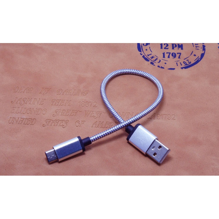 Dragon Line Kabel USB Type C 30cm - AV140 - Silver