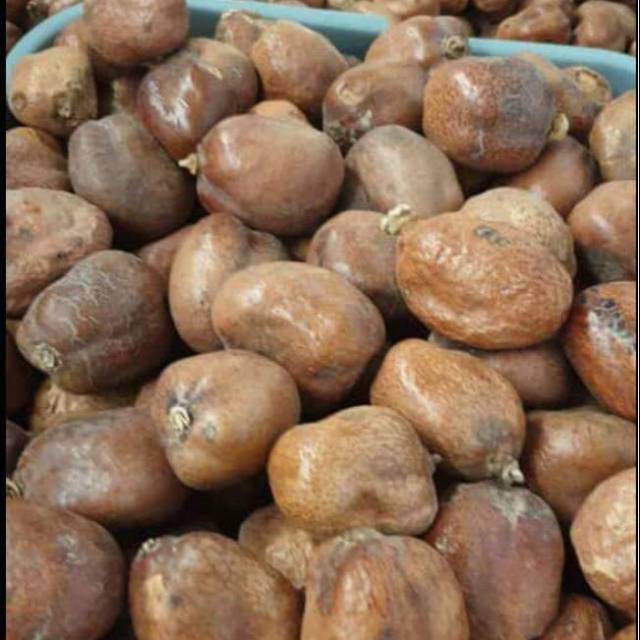 

Buah zuriat