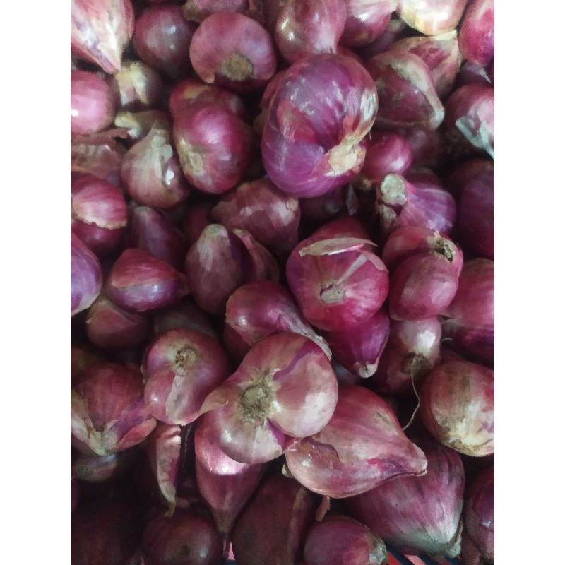 

bawang merah besar brebes 250g